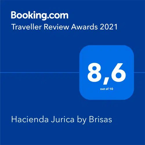 Booking Traveler Review Awards