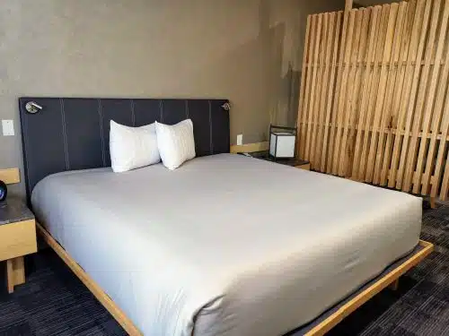 hotel japonés Irapuato